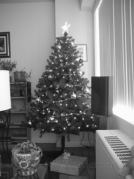 Christmas Tree 2000.jpg